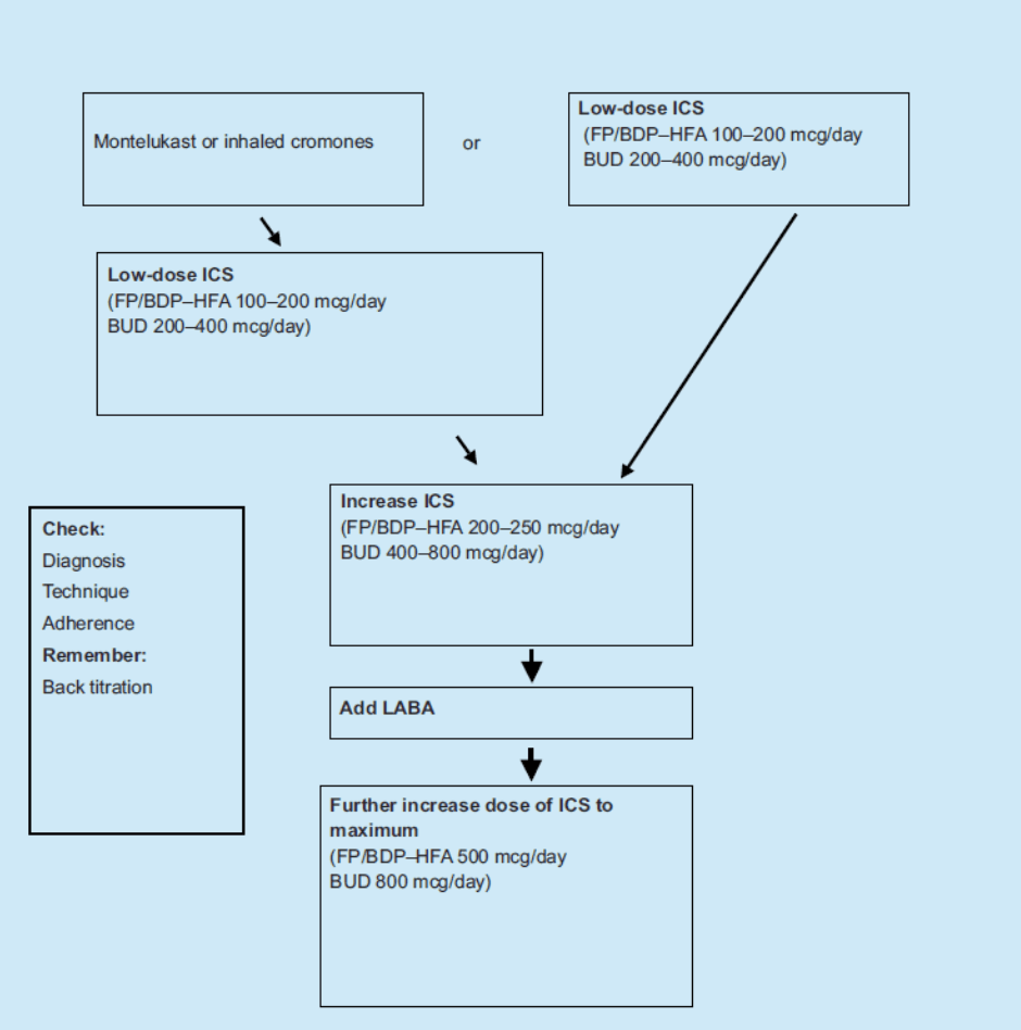 Preventer therapy in children - basic diagram